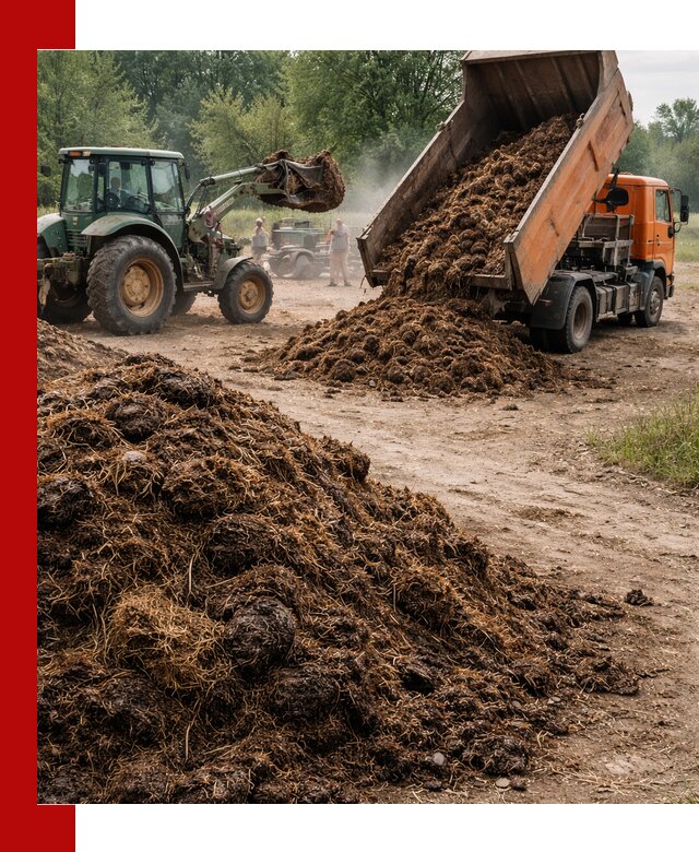 Доставка навоза самосвалами в Зиме для сельхозпотребностей